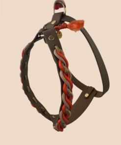 Designgeschirr - Y    Braided Line