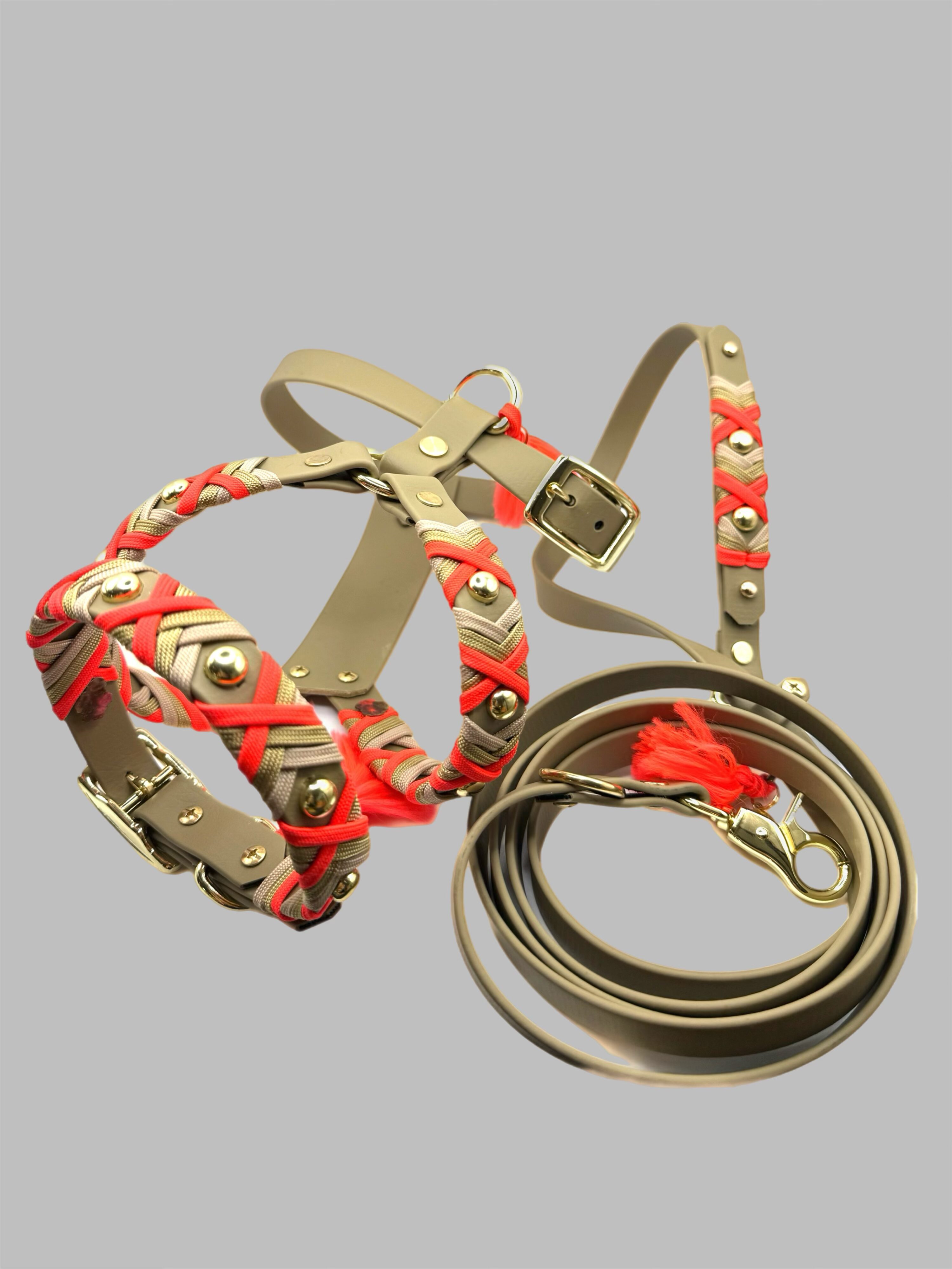 Designgeschirr - Y   Crossline – Bild 2