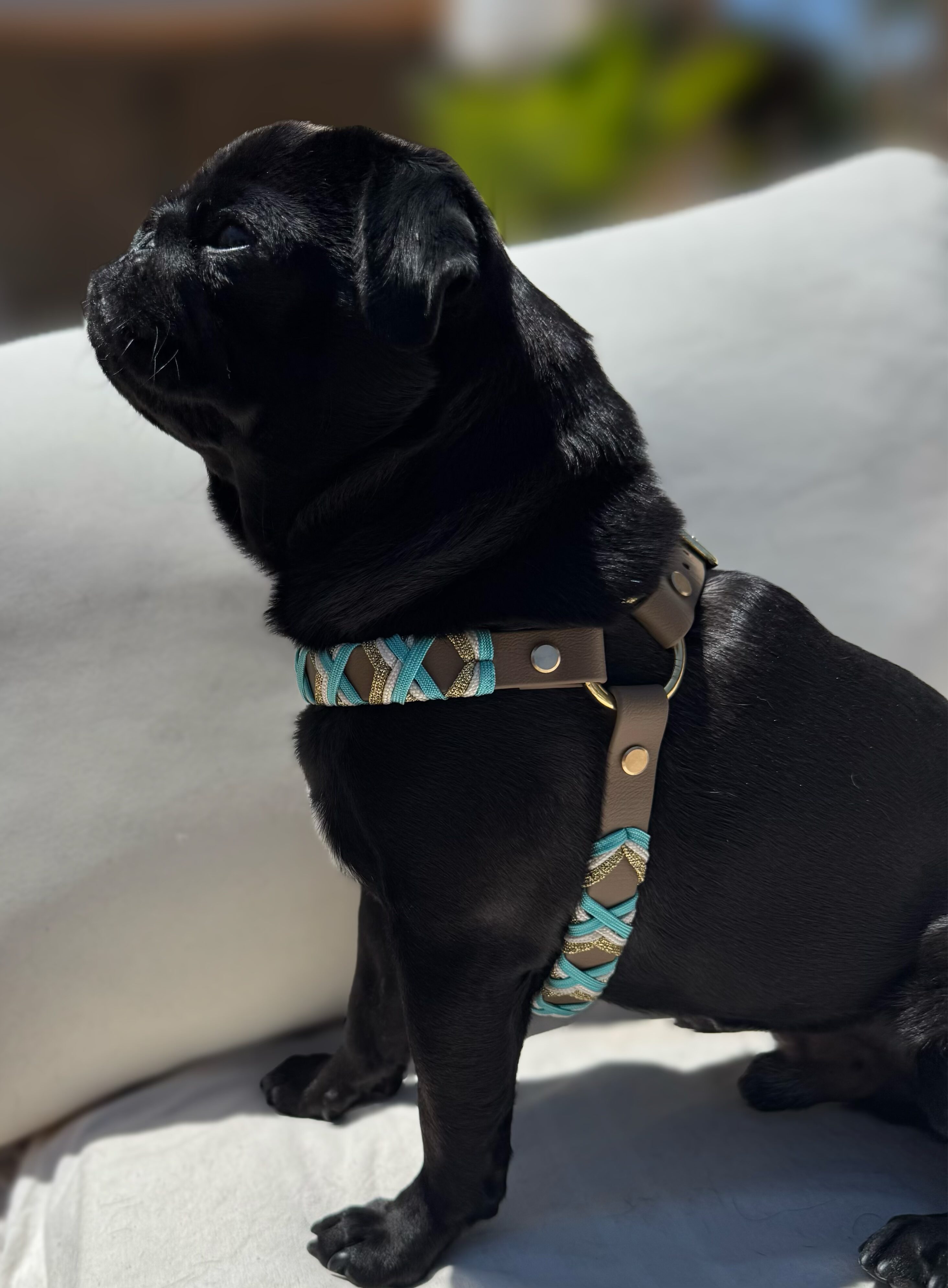 Designgeschirr - Step in – Bild 7