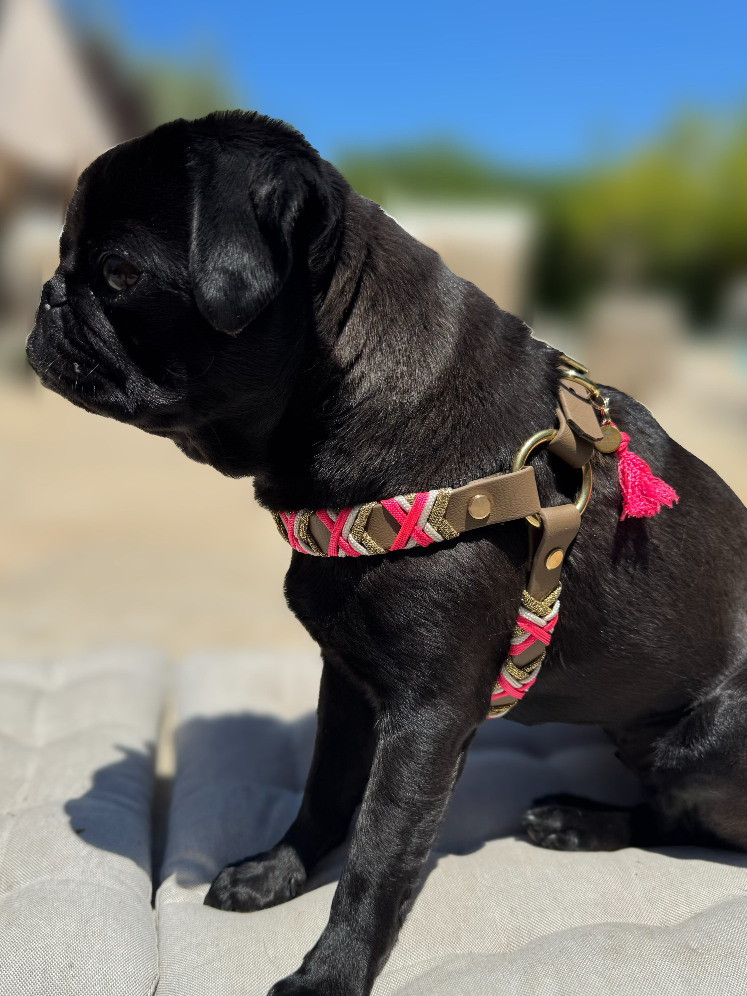 Designgeschirr - Step in – Bild 5