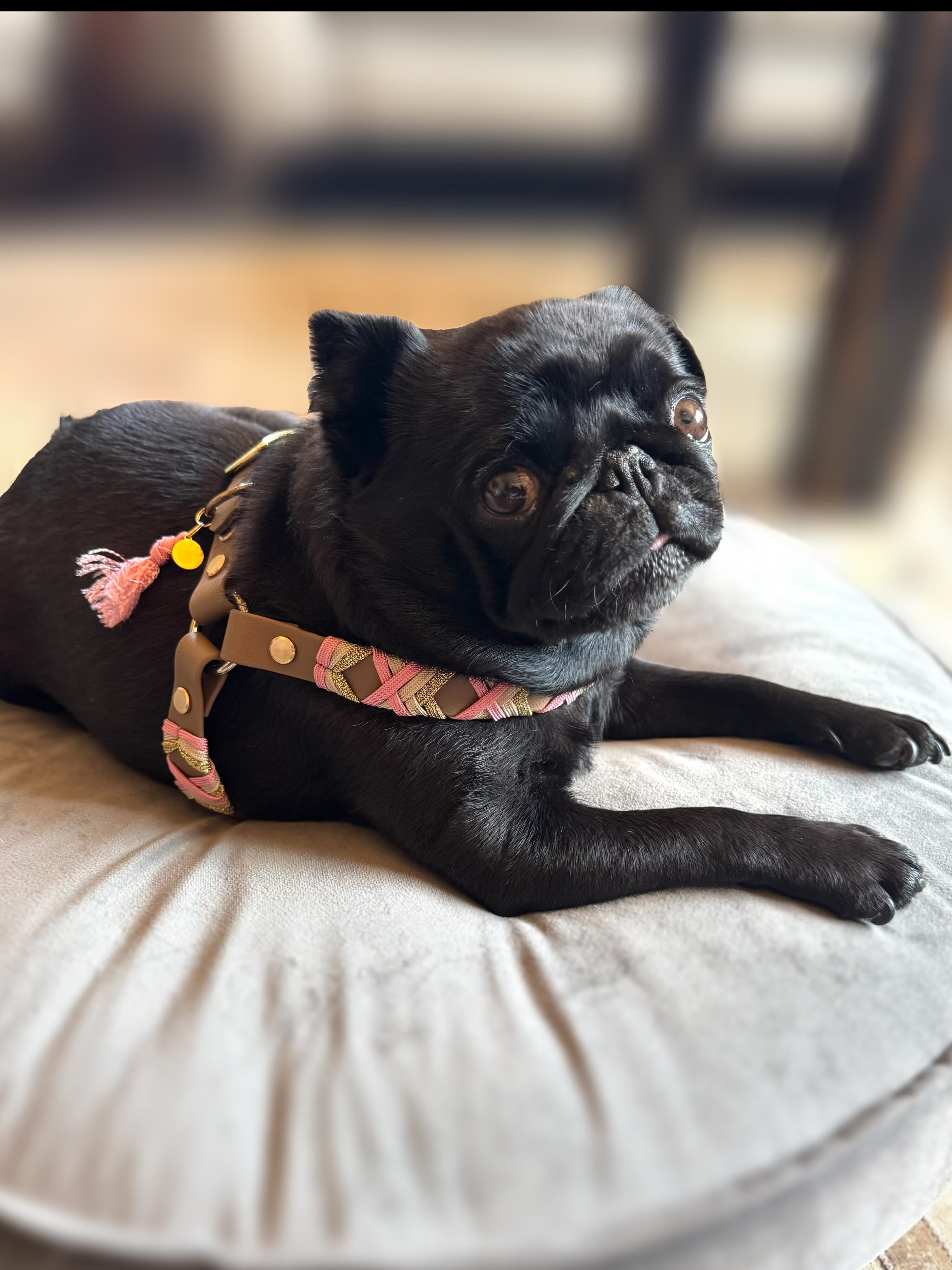 Designgeschirr - Step in – Bild 9