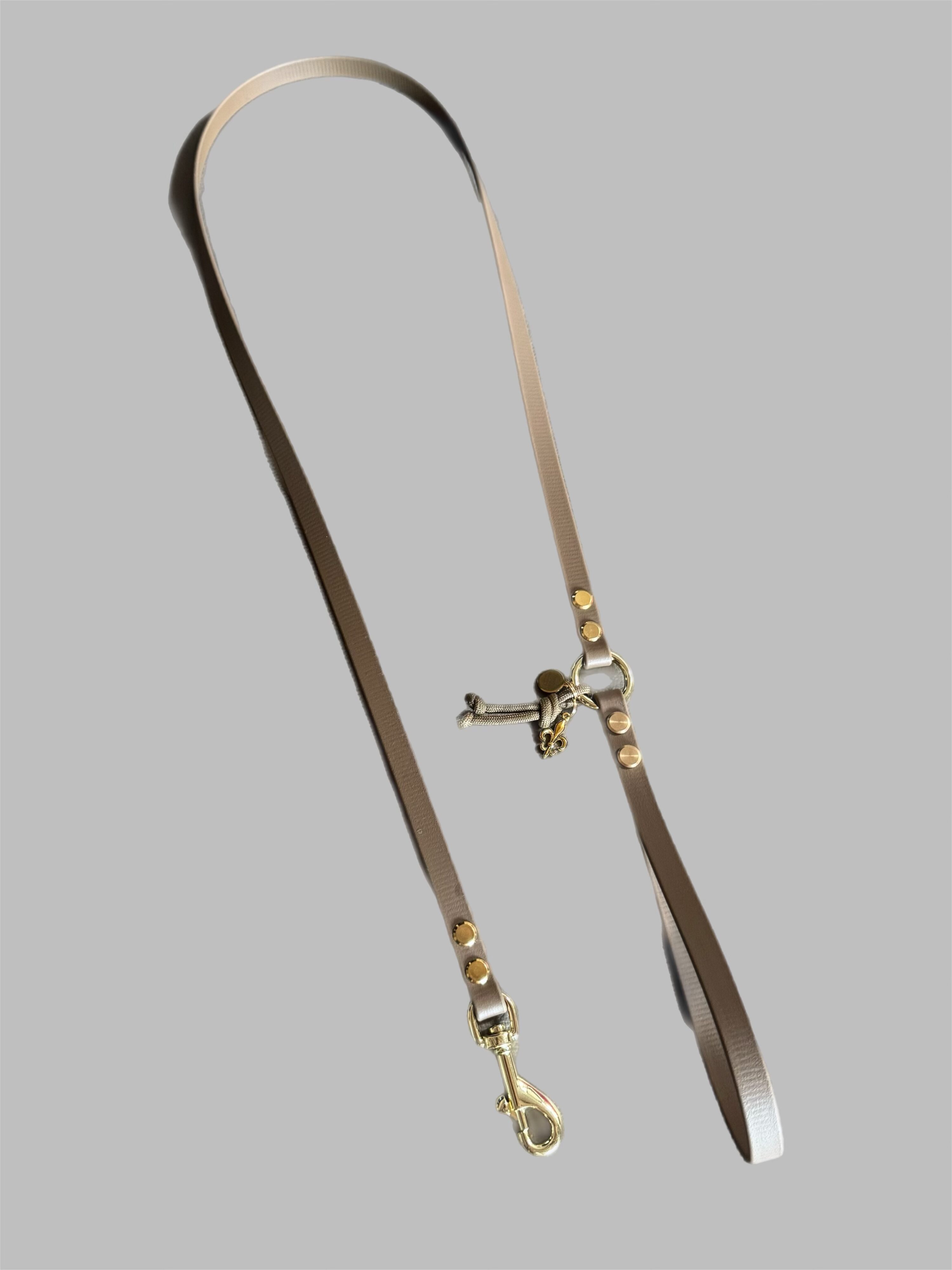 Cityleine für kleine Hunde Breite 1,3 cm – Bild 2