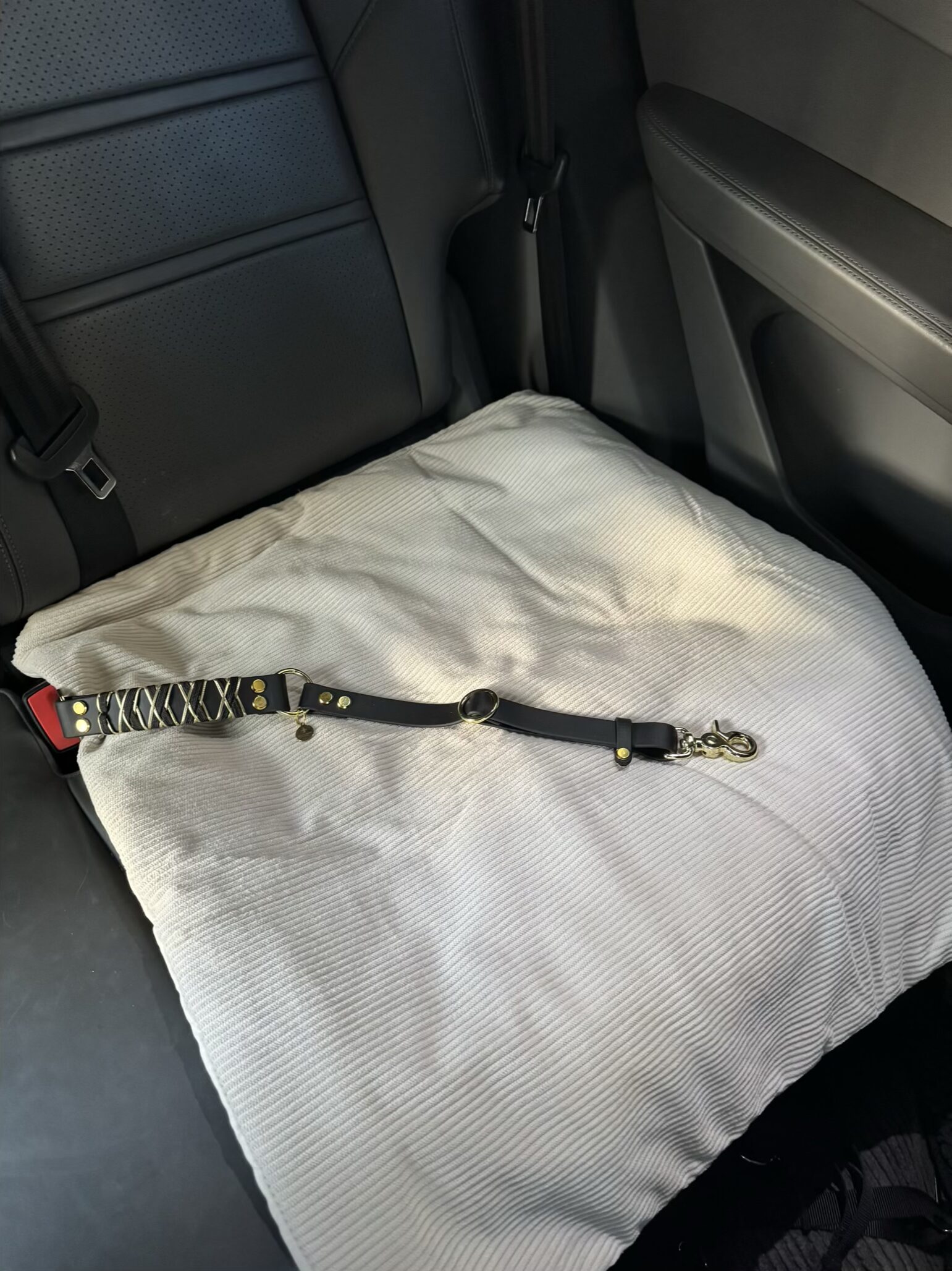 Anschnallgurt für Hunde schwarz – Bild 2