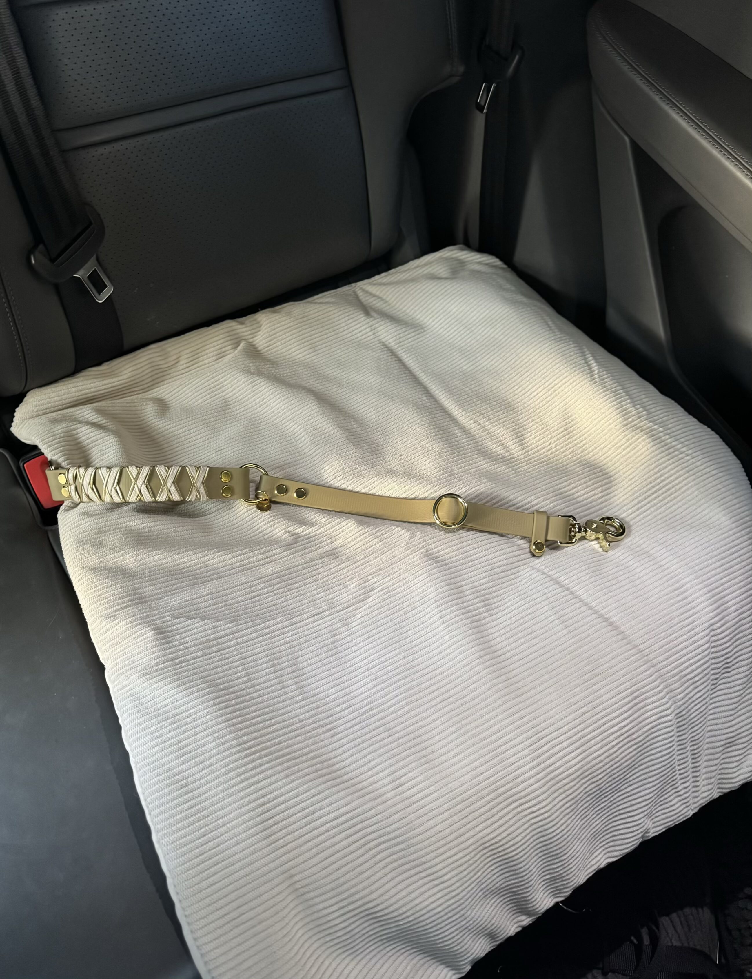 Anschnallgurt für Hunde beige – Bild 2