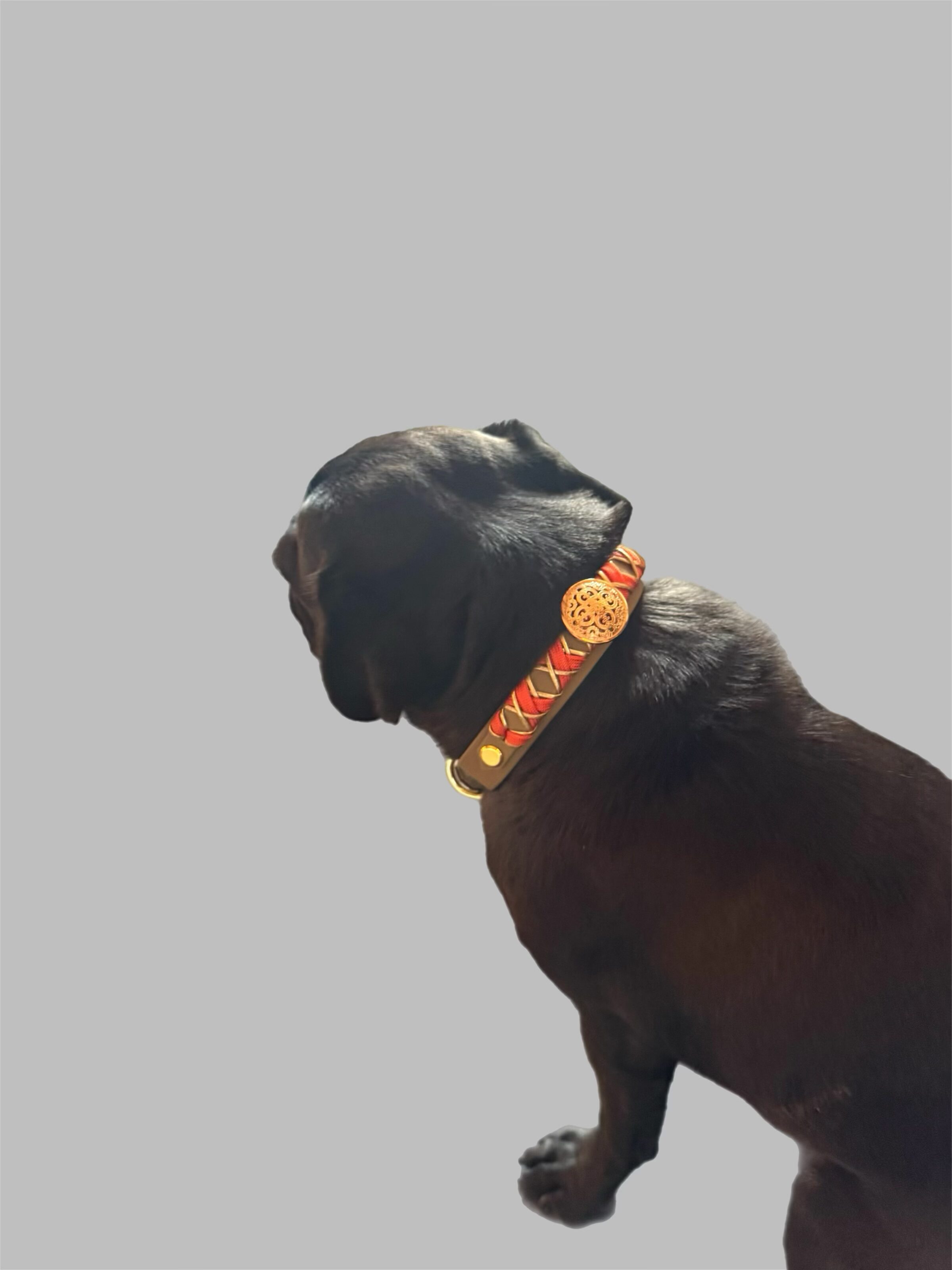 Luxline -  Deluxe     MINI mit Button – Bild 4