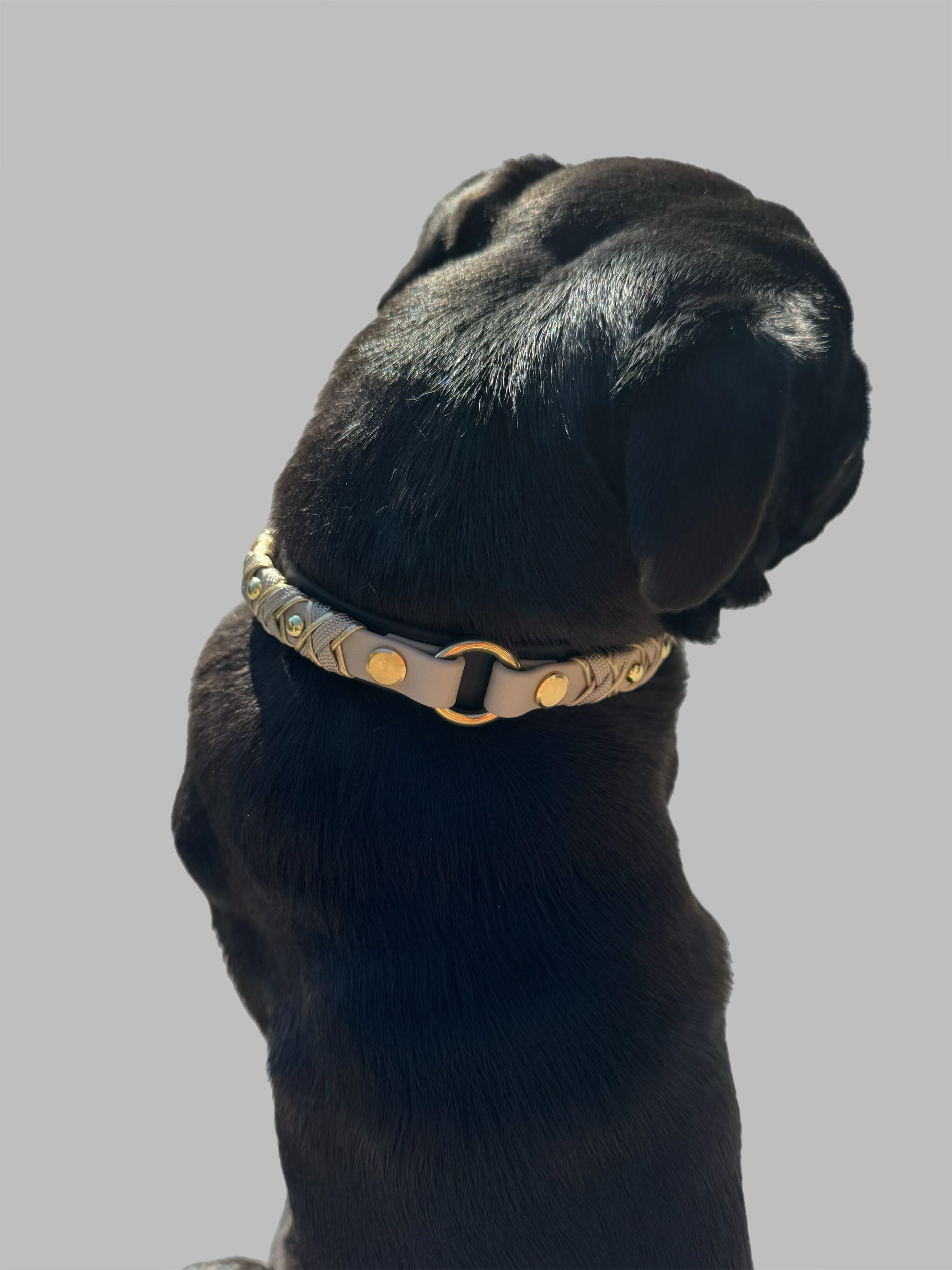 Luxline -  Deluxe     MINI  schwarz / light taupe – Bild 3