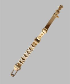 Anschnallgurt für Hunde beige