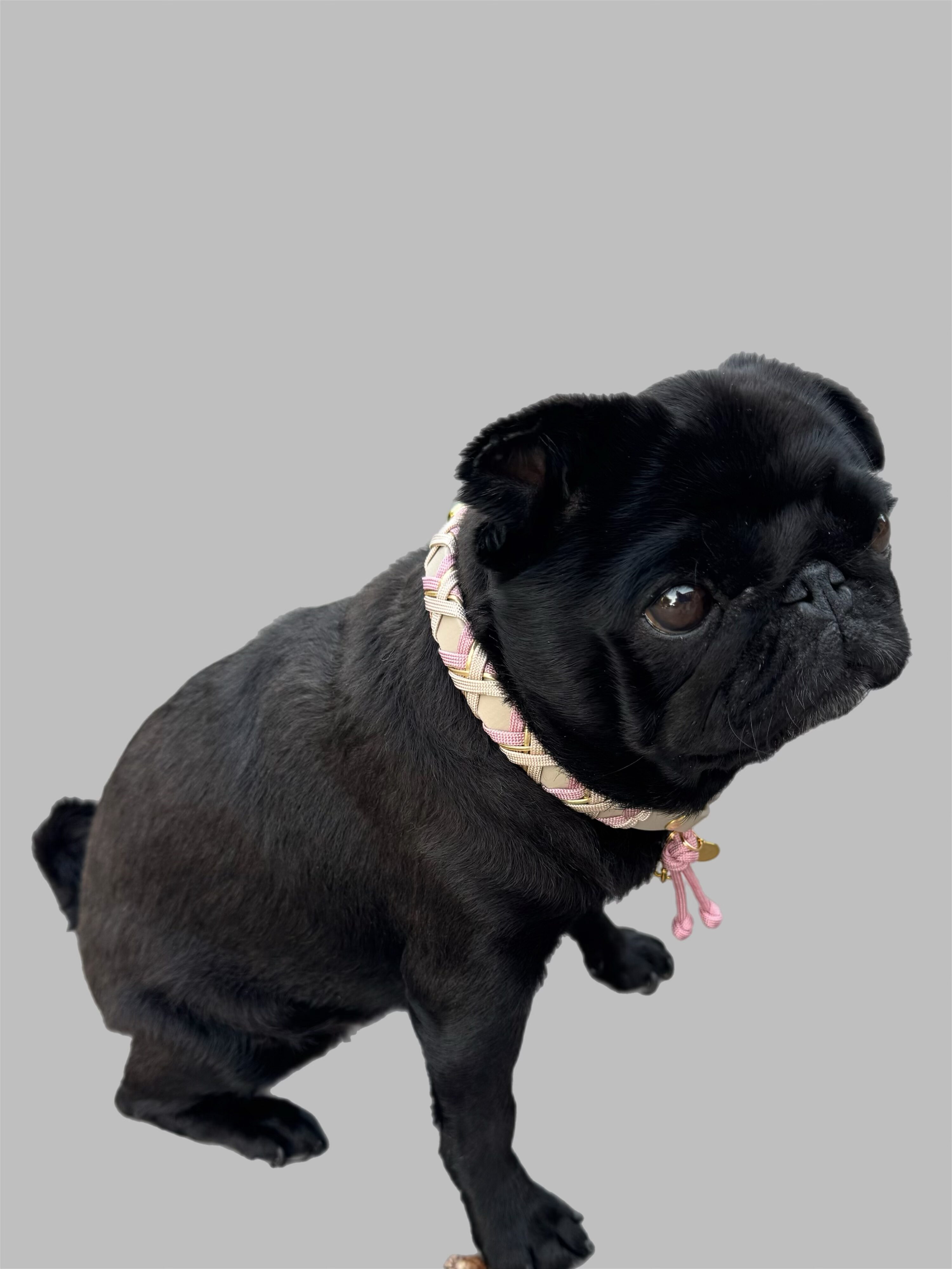 Schmuckhalsband / Markenbändchen Rosa / Goldschnur / Creme – Bild 3